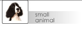 small animal